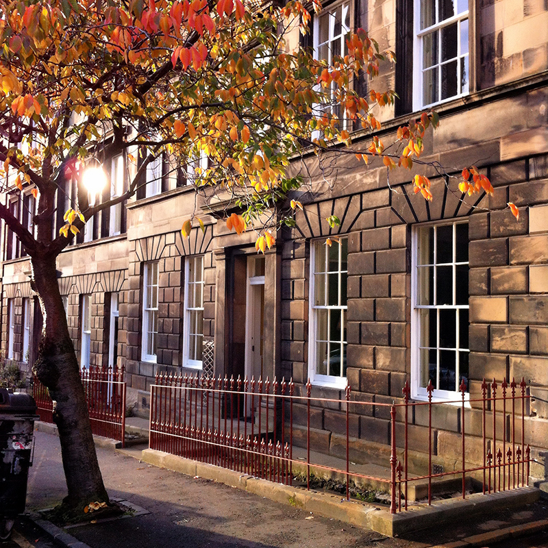 Lutton Place, Edinburgh with tree and fall colours. Backlit and shot on iPhone.