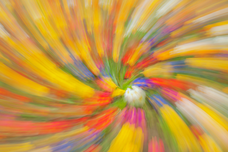 Colour twirl obtained by rating the camera while holding the zoom ring.