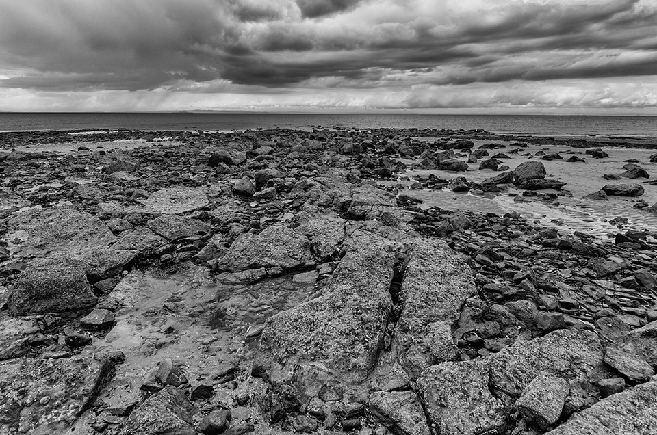 Longniddry Bents at low tide in black and white