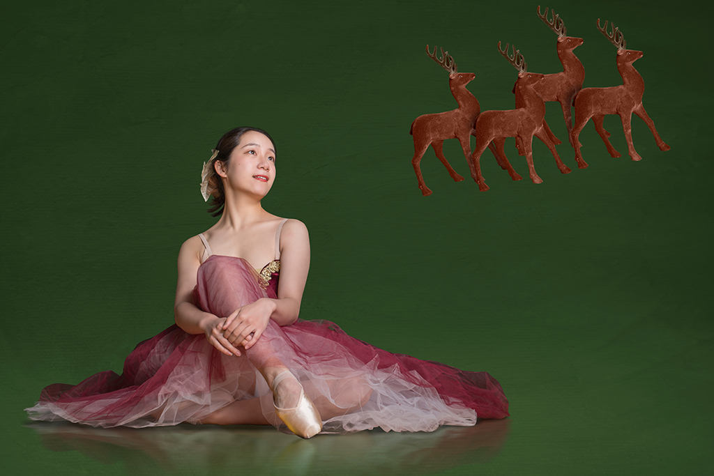 Dancer, reindeers, Christmas theme