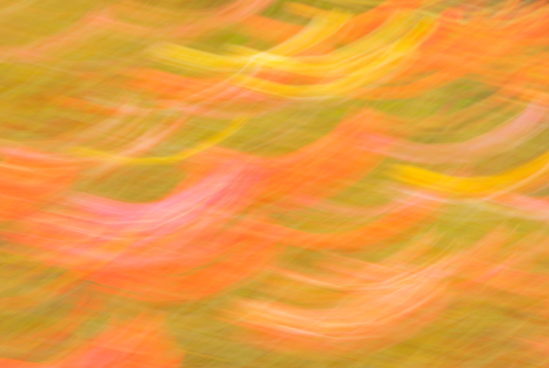 Really moving the camera during a long exposure totally blurs the subject and leaves one with an abstract picture of color.