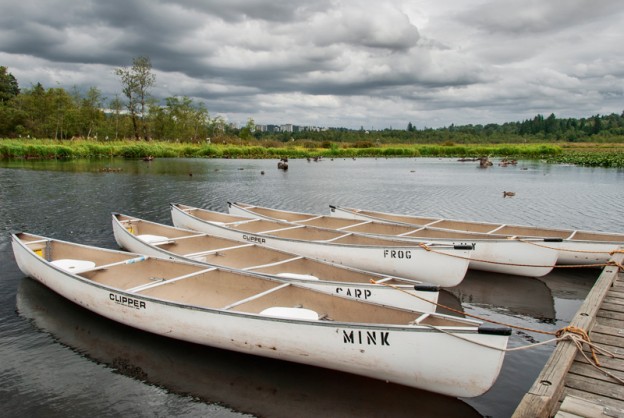 Canoeing is a popular activity in Burnaby Lake Park, B.C.