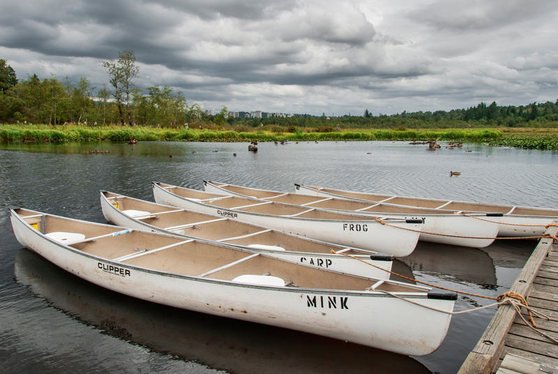 Canoeing is a popular activity in Burnaby Lake Park, B.C.
