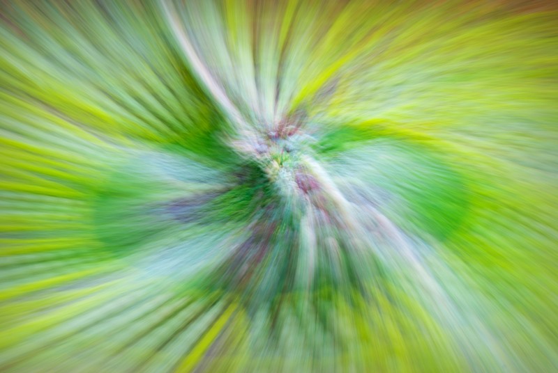 Edinburgh Floral Clock in Princes Street Gardens. Rotating the camera and zooming during a long exposure to produce an abstract twirl of colour.