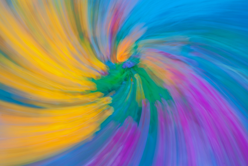 Colour abstract obtained by rotating the camera while zooming over a bed of flowers