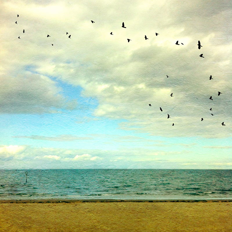 iPhone photograph of Portobello beach, Edinburgh, Scotland, with DistressedFX texture and flock of birds