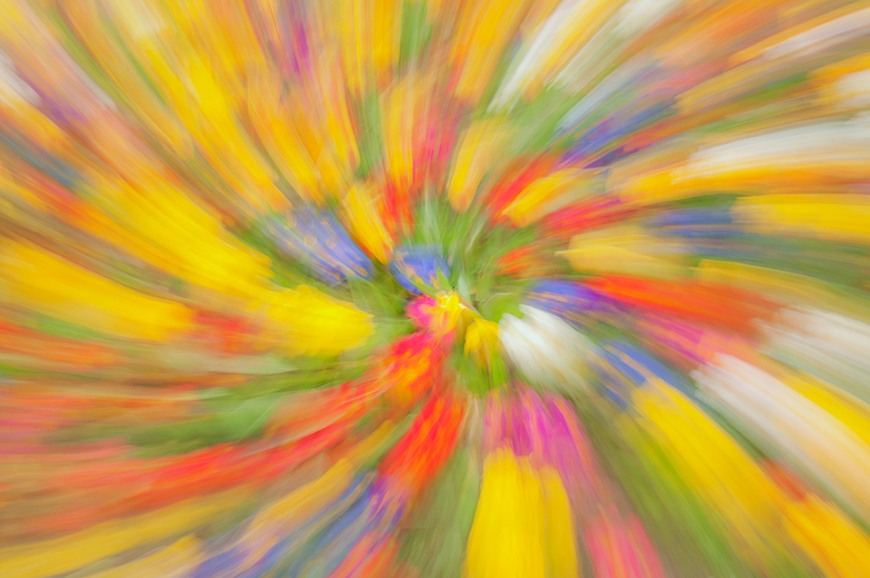 Colour twirl obtained by rating the camera while holding the zoom ring.