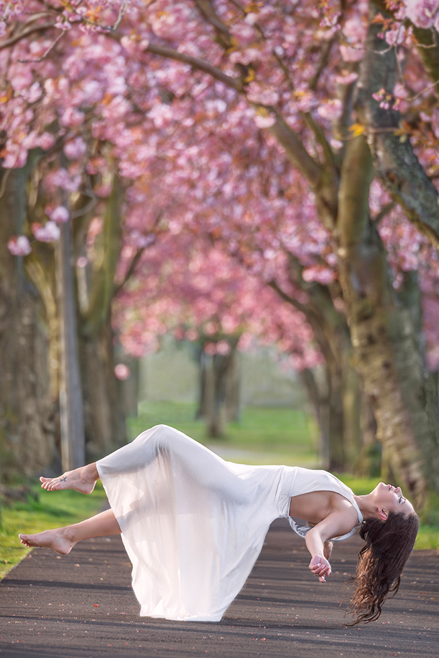 Levitatiing under the cherry blossoms